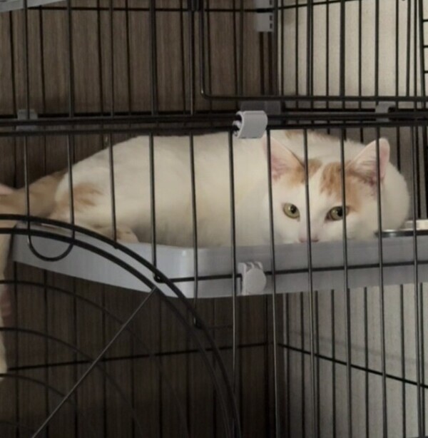 明日から…🍀*゜