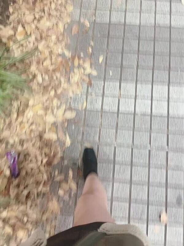 目撃情報求む🚨