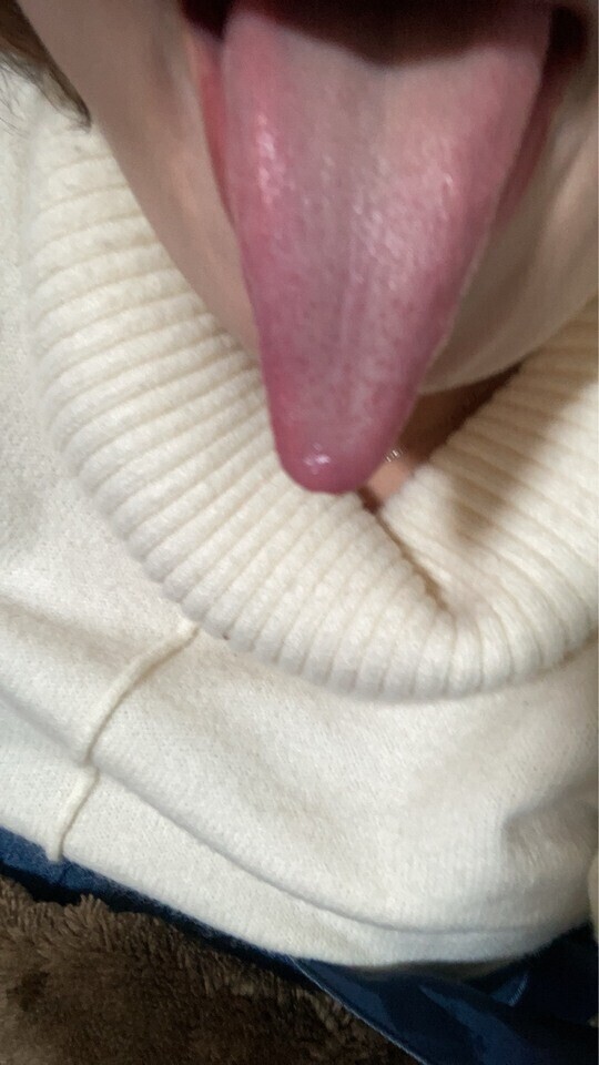 初めてでもハマる