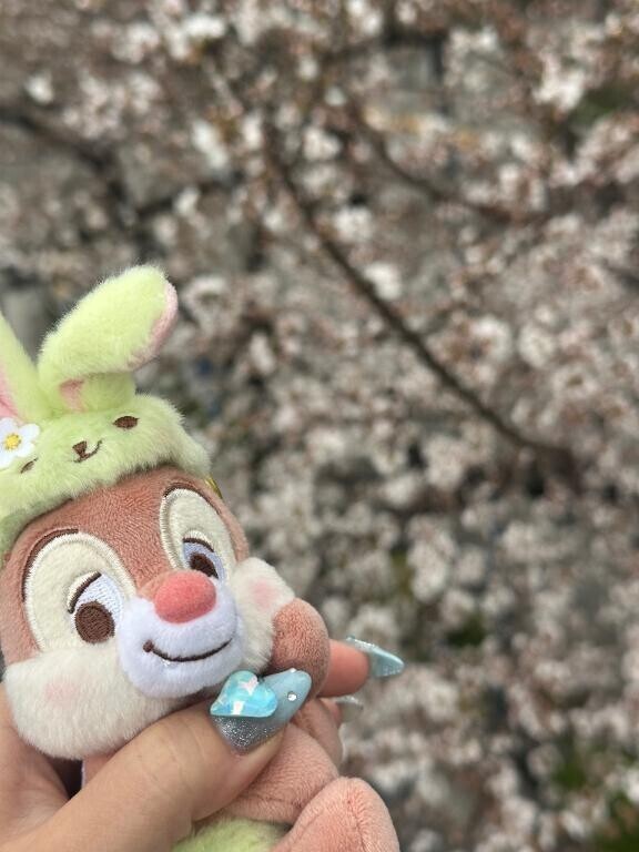 あきました！！
