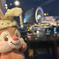 ヒナノ
