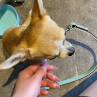 お休み期間中の思い出