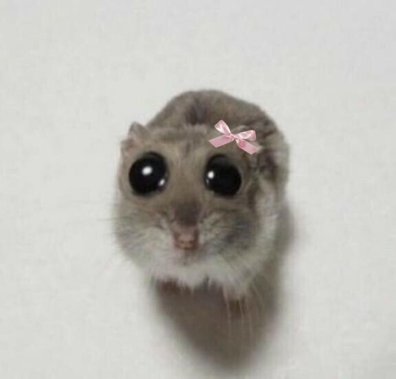 ごめんなさい🥲