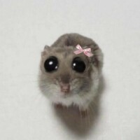 ヒナタ