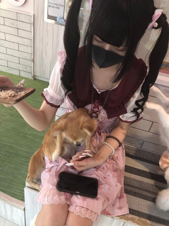 過去画