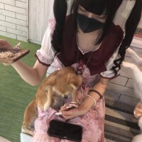 過去画