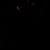大好物のうなぎパイ🎣♡
