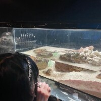水族館🐬
