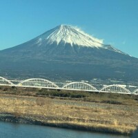ヤヤ