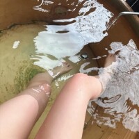 アリス