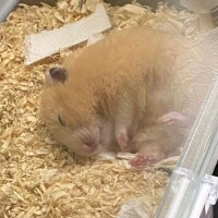 💗対象地域の方💗