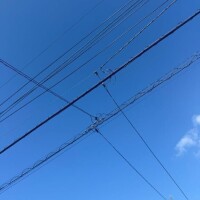 汗汗‪💦‬