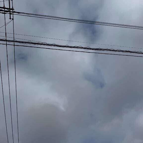 むむ