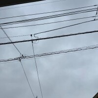 おやおや