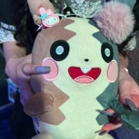 ぎゅー🧸