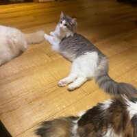 午前中のお兄様方ごめんなさい🙏