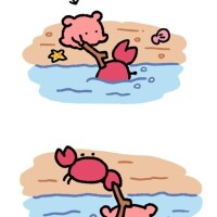 お知らせ⋆͛📢⋆