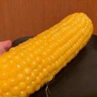 もろこし♪