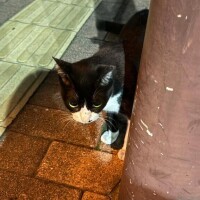すみません