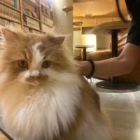 あと少しー！