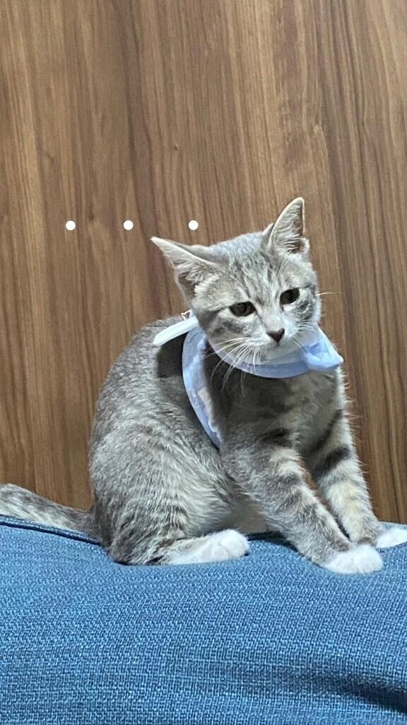 【お礼写メ日記】しんどいwwwww