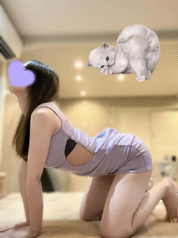 ☆キャットアンドカウ