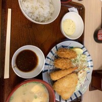 念願の🫠