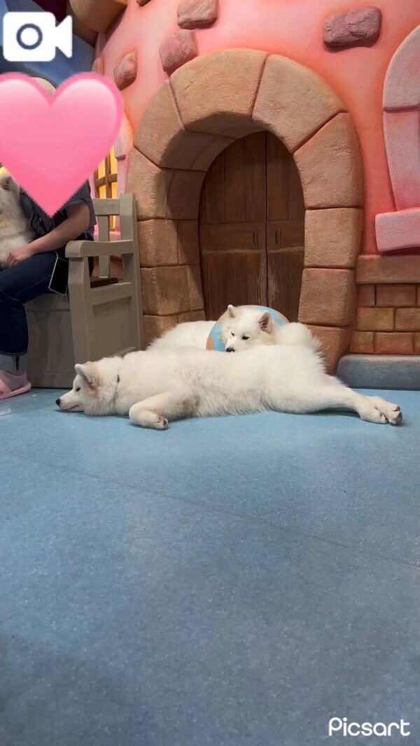 はまってるもの