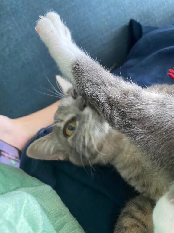 最高がすぎるwwwww