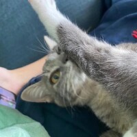 最高がすぎるwwwww