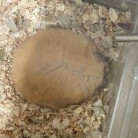 💗凍結したーー💗