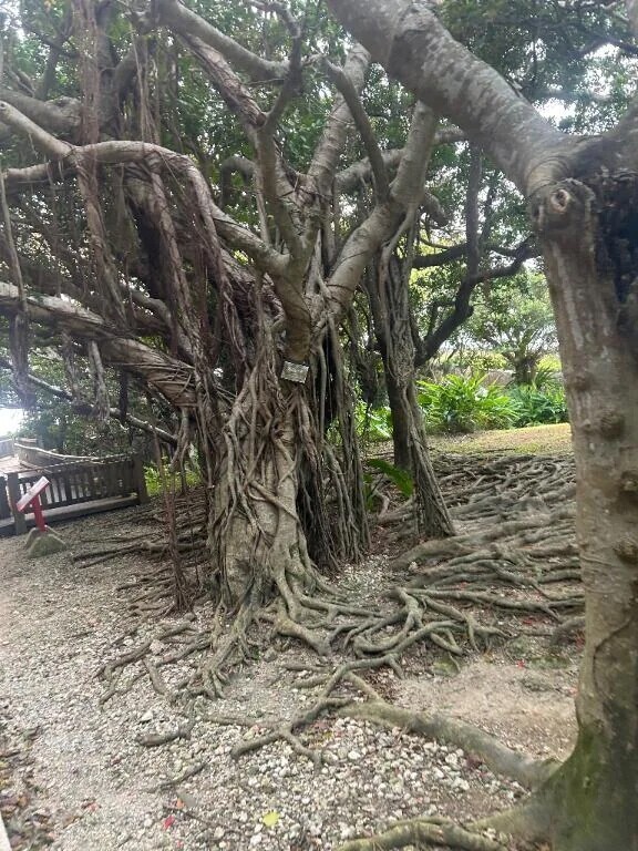 まるで…︎💕︎︎