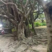 まるで…︎💕︎︎