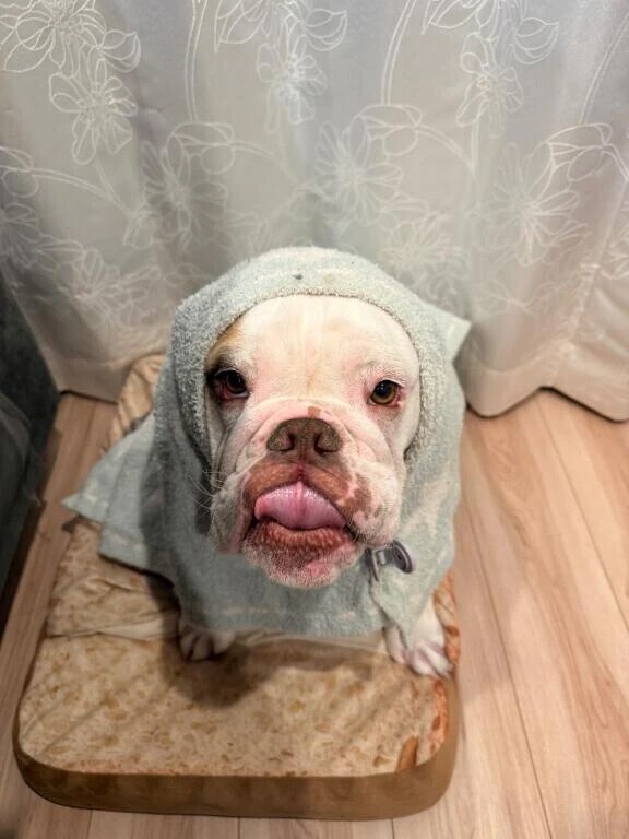 70分のお兄さん💓