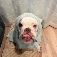 70分のお兄さん💓