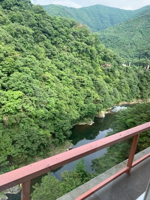 自然に触れたい