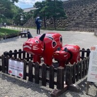 地方出身だと💭