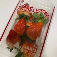 気分転換🍓