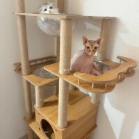 70分のお兄さん💓