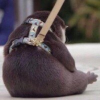 そこ、触れただけで。