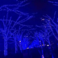 申し訳ないです…