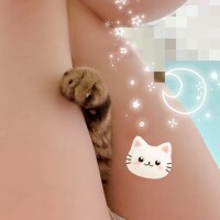 お久しぶりです?