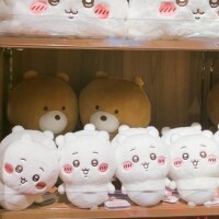 本日出勤です！