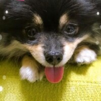 癒されて～?