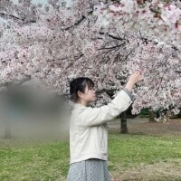 心も桜も満開