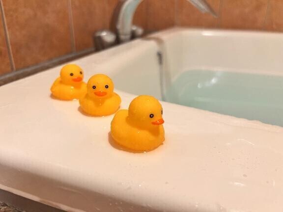 本日も(*^^*)