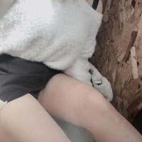 出勤?