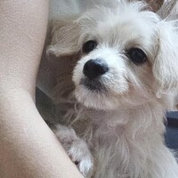 たべちゃいたい。
