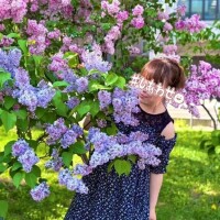 六花-りっか【FG系列】