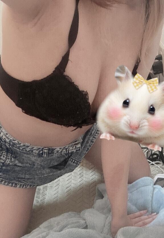 あそぼ?
